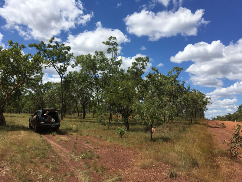 Illustration for article titled AWOL Around Australia... East Arnhem Land. Part 1